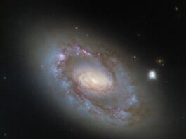 Hubble Captures Detailed Image of Active Galaxy NGC 4102
