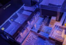 Bijen ontcijferen ‘Morsecode’: het opmerkelijke tijdwaarnemingsvermogen van een klein brein