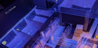 Abelhas decifram ‘código Morse’ – a notável capacidade de cronometragem de um pequeno cérebro