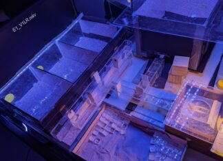 Бджоли розшифровують “Морзе” – дивовижну здатність до хронометрії в маленькому мозку