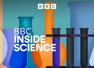 COP30 Переговори та обмеження спортивних рекордів: науковий огляд