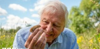 Лондон Девіда Аттенборо: любовний лист міській дикій природі