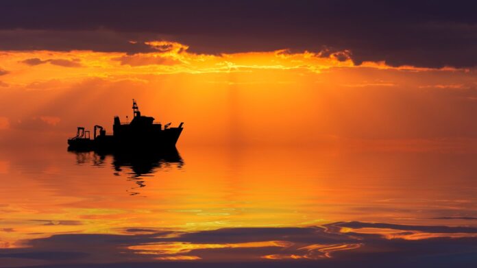 2343056f-a1d9-49bc-b4d1-c89469b63017