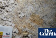 Стародавній ручний трафарет в Індонезії: найстаріший наскельний малюнок у світі?