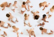 Édition génétique et avenir de la reproduction : au-delà du battage médiatique