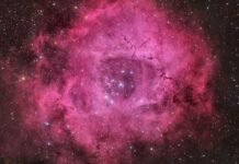Рожева Туманність: Космічна Троянда Вік 5000 Років