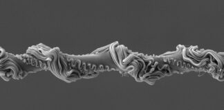 Павукові мережі: Високотехнологічні пастки, що поєднують міцність та еластичність