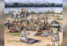 Une fosse commune vieille de 2 800 ans en Serbie révèle une violence délibérée contre les femmes et les enfants