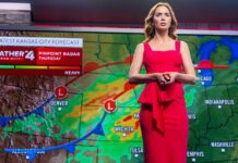 «День Раскрытия» Спилберга: Научно-Фантастическое Возвращение, Которое Вам Нужно Знать