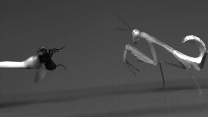 b6cc9956-c915-4708-af19-2a798bbba677