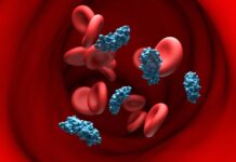 Avance de la terapia genética: apuntar a APOE podría revolucionar el tratamiento del Alzheimer