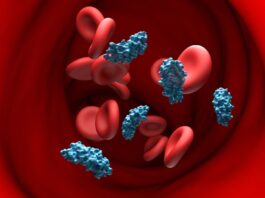 Прорив у Генній Терапії: Націлювання на APOE Може Революціонізувати Лікування Хвороби Альцгеймера