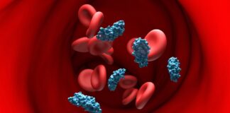 Avance de la terapia genética: apuntar a APOE podría revolucionar el tratamiento del Alzheimer