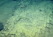 De “Yellow Brick Road” van de diepte: een geologische verrassing onder de Stille Oceaan