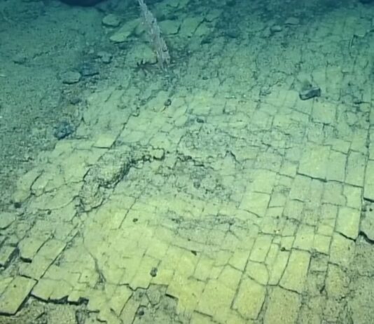 «Дорога з жовтої цеглини» у безодні: геологічна сенсація в глибинах Тихого океану