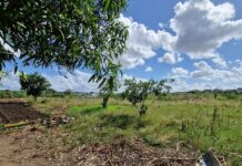 Перетворення сільськогосподарських відходів на енергію та водну безпеку в Мозамбіку