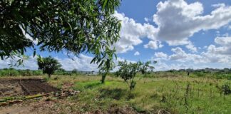 Перетворення сільськогосподарських відходів на енергію та водну безпеку в Мозамбіку