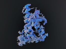 Білок, який кинув виклик біології: як Стенлі Прузінер відкрив пріон