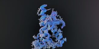 La proteina che sfidava la biologia: come Stanley Prusiner scoprì il prione