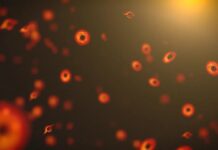 Des trous noirs primordiaux auraient pu voler notre antimatière