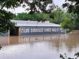 Примари у розливних водах