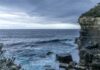 Reconstruindo a antiga atmosfera da Terra: como as plantas fossilizadas revelam os ciclos de carbono anteriores