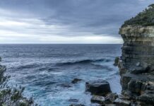 Reconstruindo a antiga atmosfera da Terra: como as plantas fossilizadas revelam os ciclos de carbono anteriores