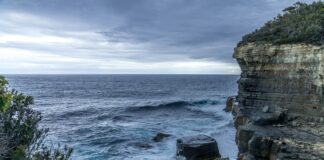 Reconstruindo a antiga atmosfera da Terra: como as plantas fossilizadas revelam os ciclos de carbono anteriores
